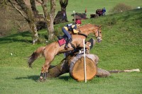 /album/galleria-foto-completo/a2449415993-a17ff9b694-jpg/